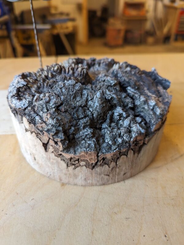 BB002 Bowl Blank - Image 2