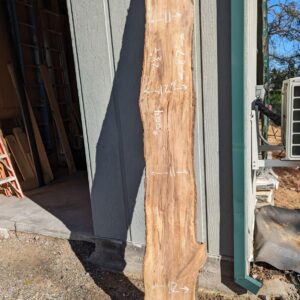 S004 - Sweet Gum Slab