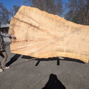 S014-5 Silver Maple Live-Edge Slab  ** Call or Email for Sales & Shipping **