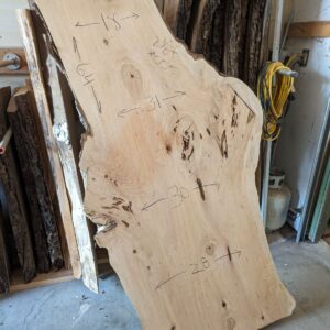 S005 - Coastal Sycamore Slab