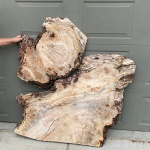 S007 - Silver Maple Slab