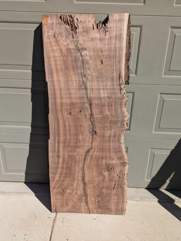 S009 - Black Walnut Slab