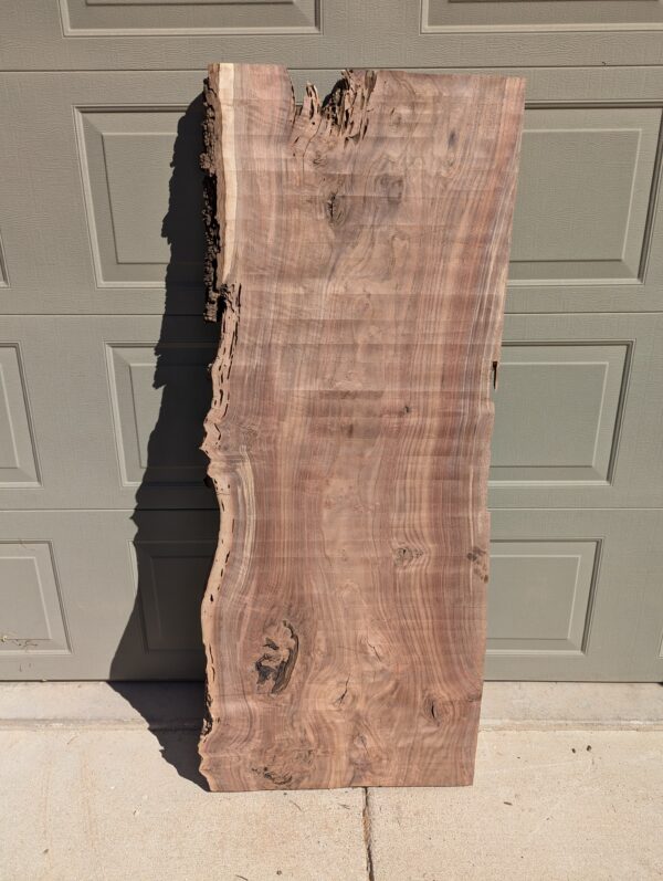 S009 - Black Walnut Slab - Image 2