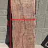 S009 - Black Walnut Slab - Image 3