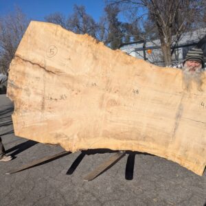 S015-6 Silver Maple Live-Edge Slab **  Call or Email for Sales & Shipping **