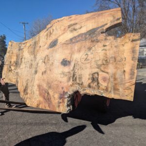 S017-2 Large Silver Maple Live-Edge Slab  **  Call or Email for Sales & Shipping **