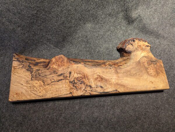KN 102 -18" Silver Maple  with a Knob of Burl